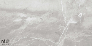 Керамогранит NT Ceramic Quanta Slate Grey арт. NS612NTT9026L (60x120) лаппатированная